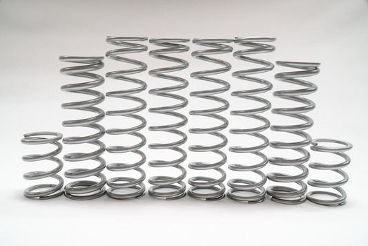 Shock Therapy Dual Rate Spring Kit for Can-Am Maverick R X RS w/ Smart Shox