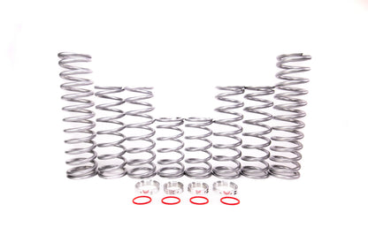Shock Therapy Dual Rate Spring Kit for Polaris RZR RS1