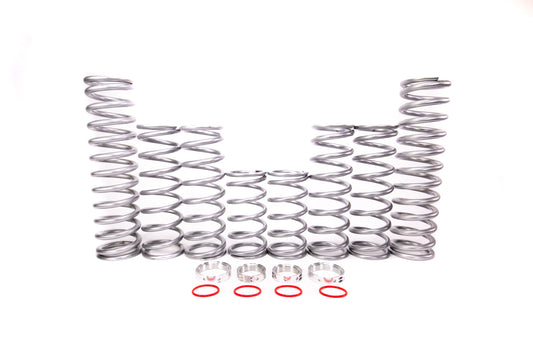 Shock Therapy Dual Rate Spring Kit for Polaris RZR RS1